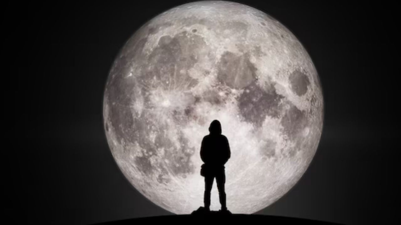 persona che guarda la luna