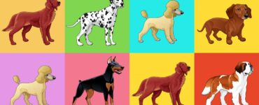 cane e segno zodiacale