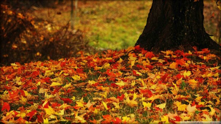 equinozio d'autunno